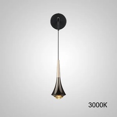 Изображение Настенный Светильник Cai Wall Black 3000К By Imperiumloft