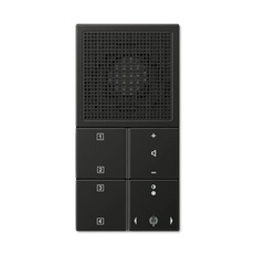 Изображение Радиоприемник без рамки LS-design антрацит RANAL2914AN Jung