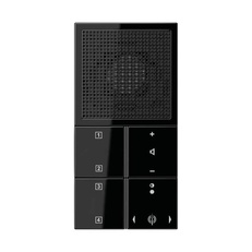 Изображение Радиоприемник без рамки LS plus черное стекло RANLS914SW Jung