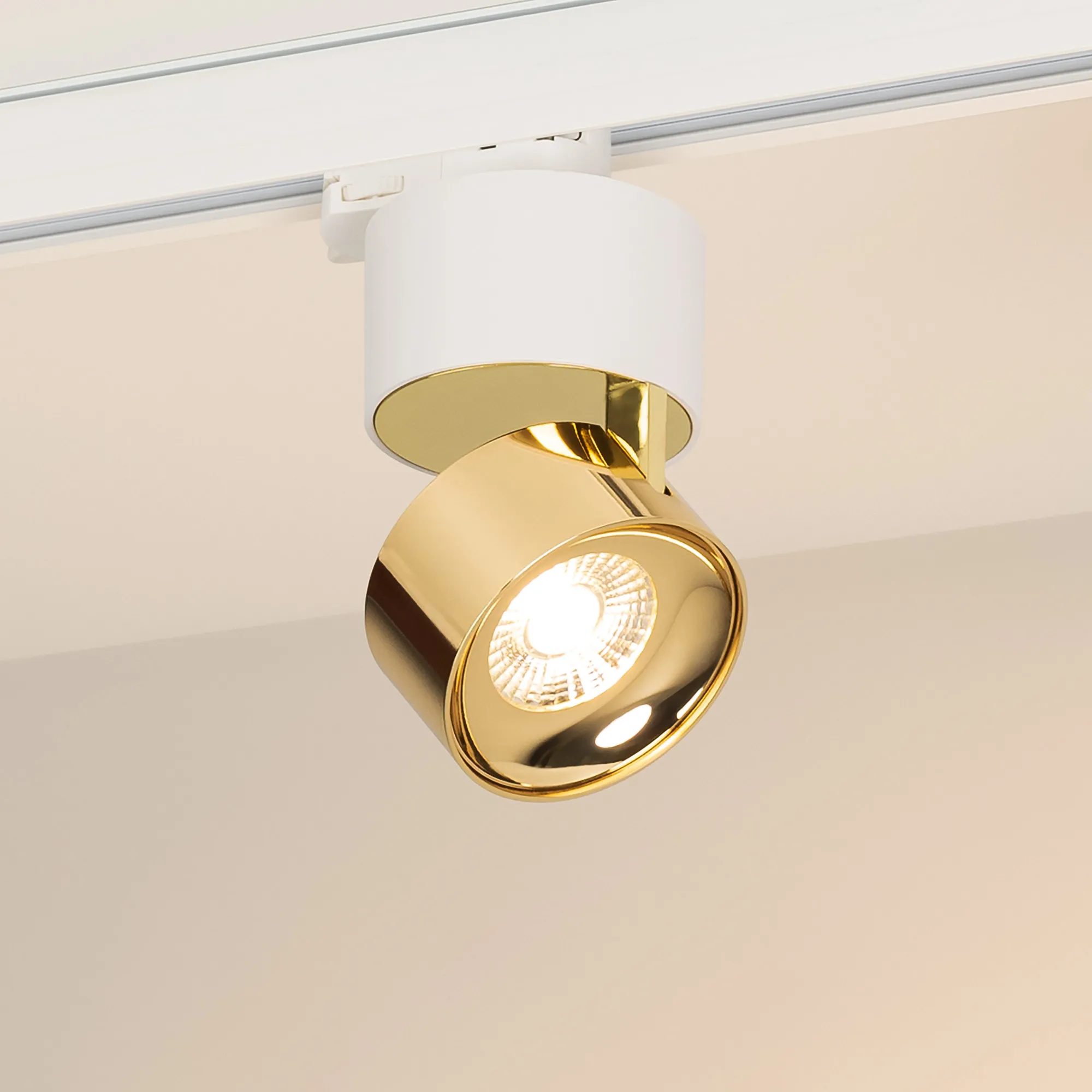 Светильник SP-PLURIO-TRACK-4TR-R77-9W Warm3000 (WH-BRS, 36 deg, 230V) (Arlight, IP20 Металл, 3 года) - Изображение